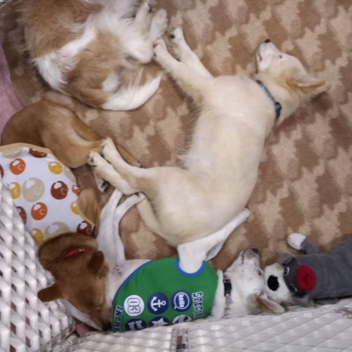 Ecee6c06 4da1 4ae9 aa36 b5e01e322bc3 1543069564243