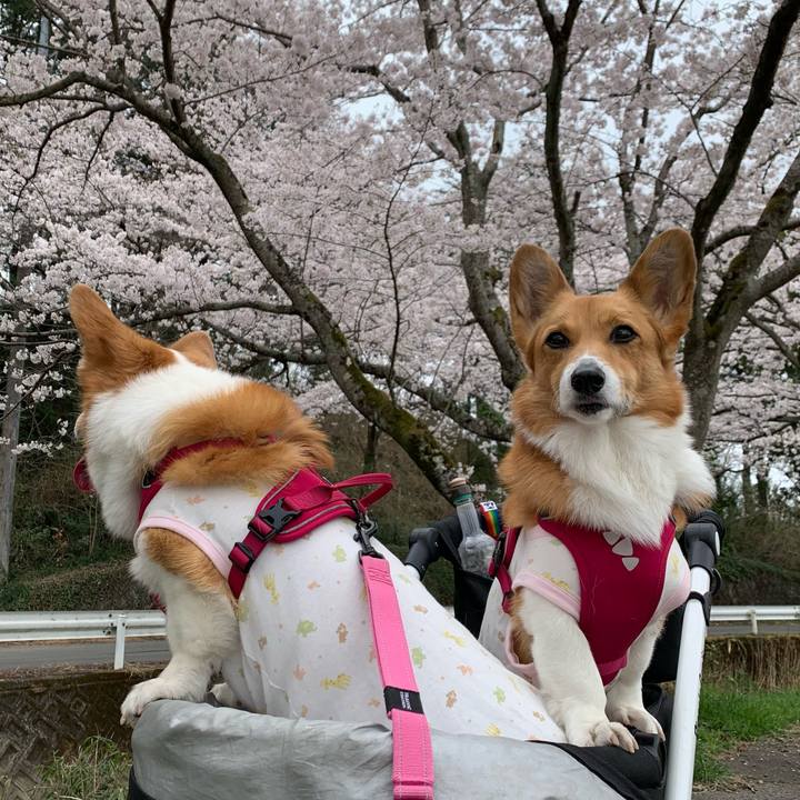 Ecee6df7 5121 40a0 b72a 2559b9259603 1616644008109