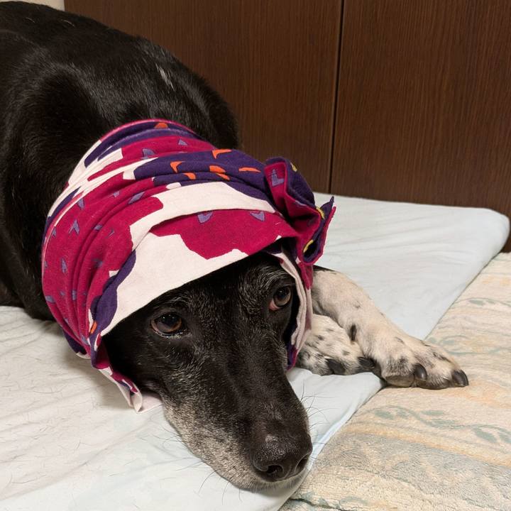 Ecee7819 54c9 42d3 b211 0bfa4c25bf26 1751625342274