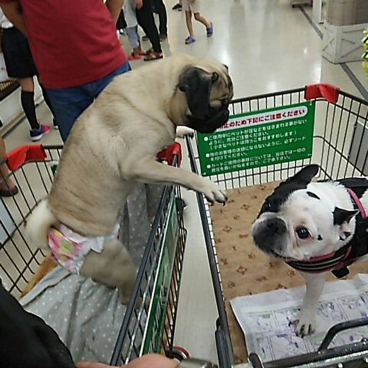 Ecee7f5c bf80 4801 83f2 d5794dd00c26 1537874037613