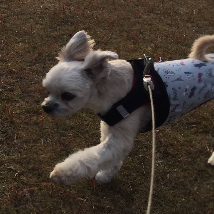 Ecee95a7 5b21 4c73 a0c0 43ecbe07bd45 1543925981767