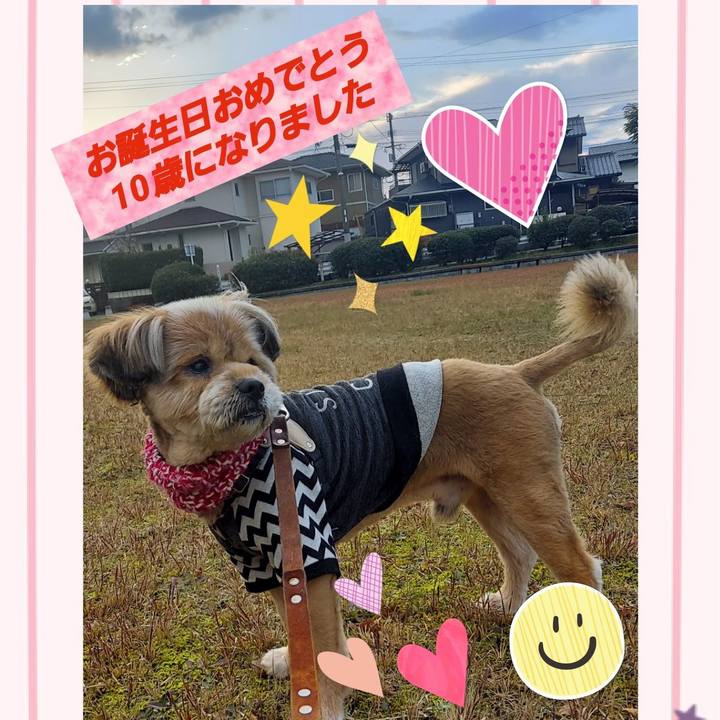 Ecee9a17 54a9 44b9 8926 f9a0925eb6a2 1640046279669