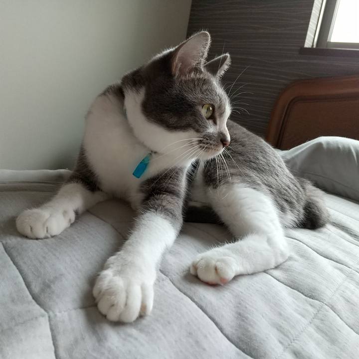 Eceea1a2 4671 43f1 bc35 982439fab06c 1631929498479