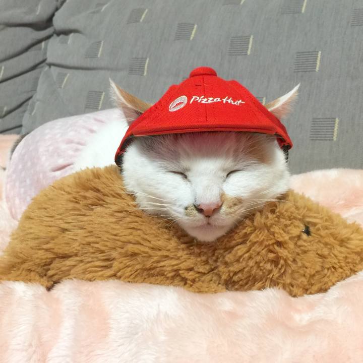 Eceeb250 88e1 4476 ae31 f66c508a5d8d 1519296419748