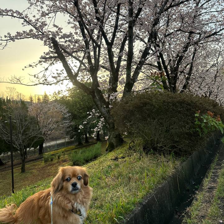 Eceeed55 7a7b 4e6e 9a54 6a9637f568d9 1679866793176