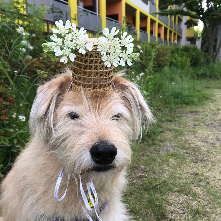 Ecef5b72 d7eb 44f7 99b3 9d65c30bfbc4 1589334655541