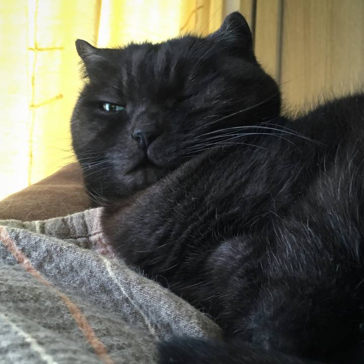 Ecef5f77 8f22 4df0 b121 887dce43e1c5 1582524671551