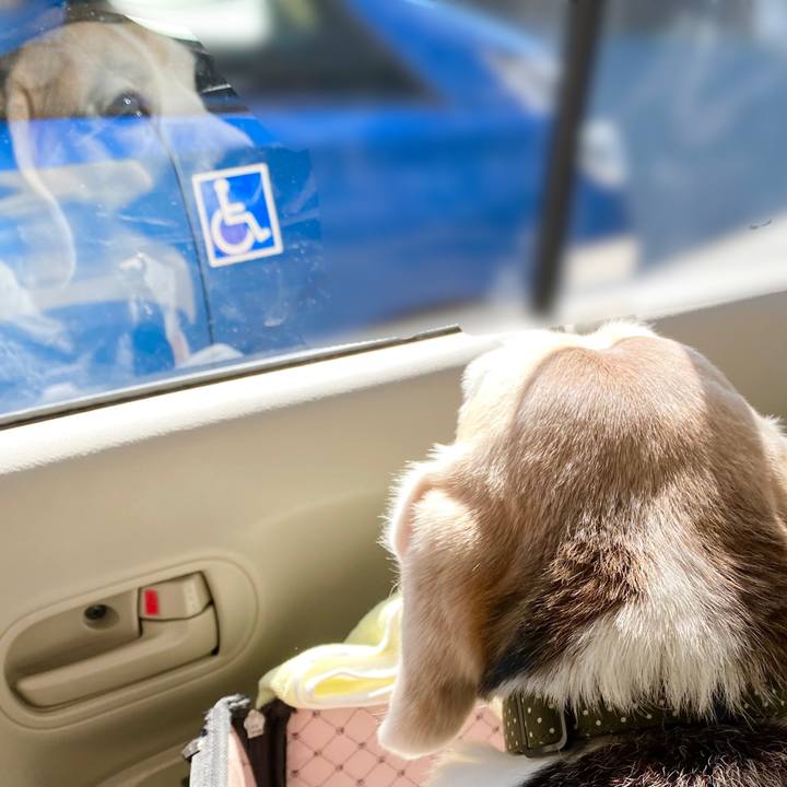 Ecef7f6a f76a 4969 b4f9 ab457572e36d 1645416803302