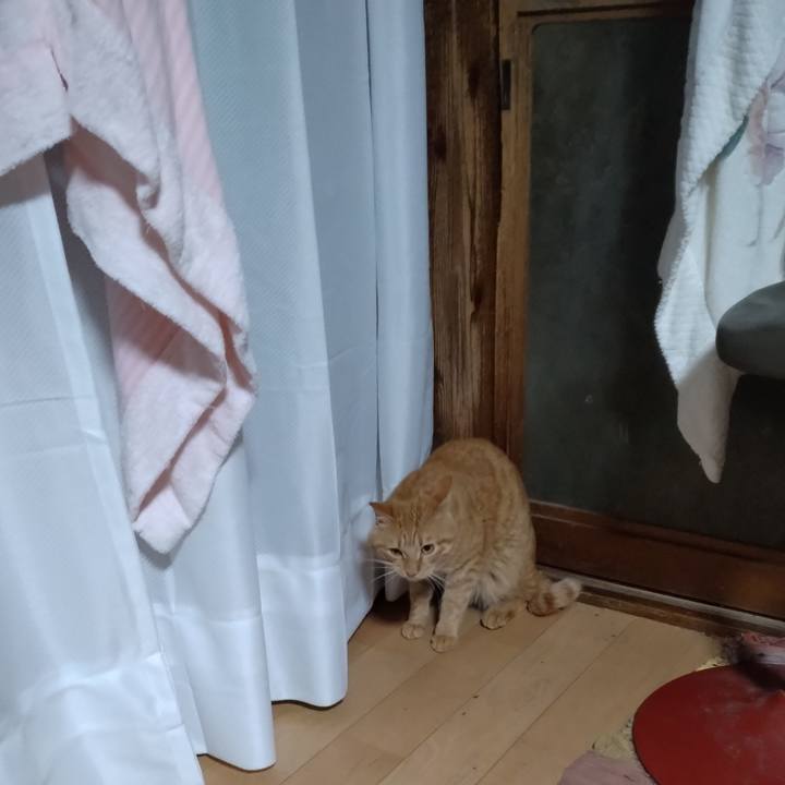 Ecefa1c7 c992 4cf9 871d 9dd76a7bea1e 1670537574392