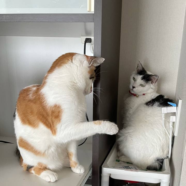 Ecefb5fb 75b3 46a2 a584 217e0909ff00 1624506115829