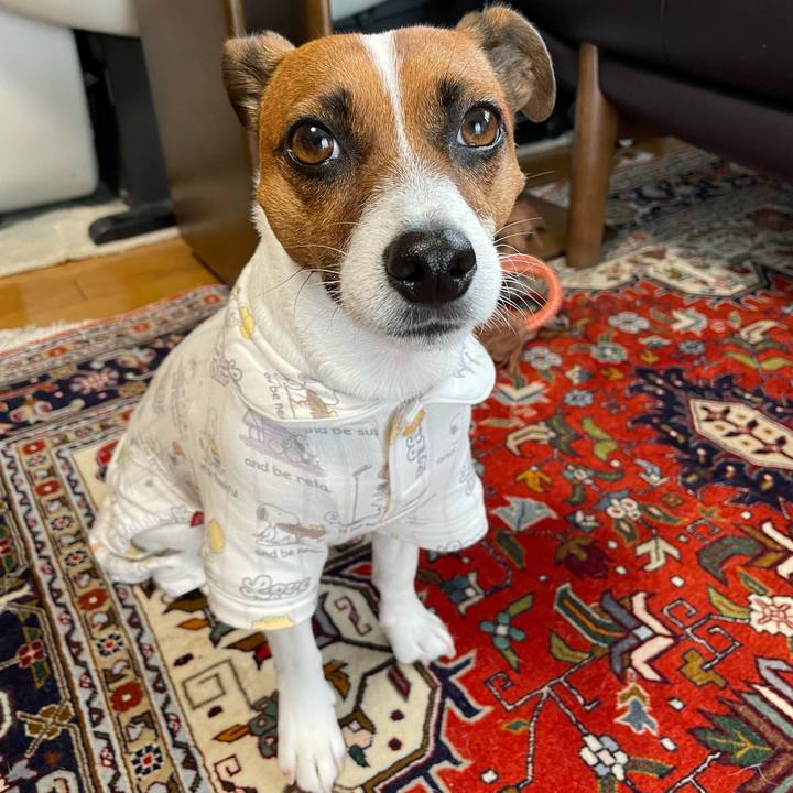 Ecefcdea 83c9 45f0 96d5 3b5f276497e1 1634701137360