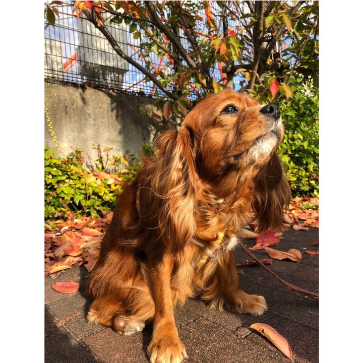 Ecefdd8b 32d5 4c6d 918e 9412e4fb215f 1636582531956