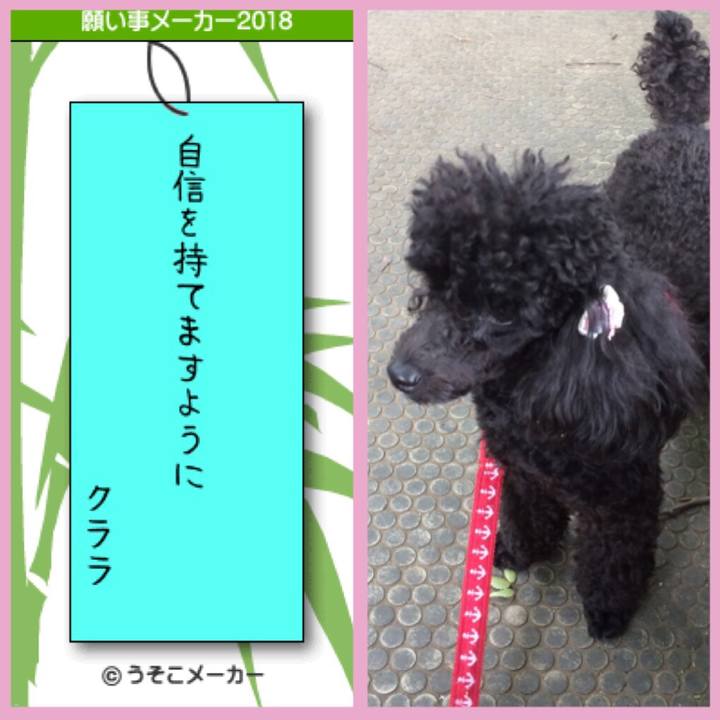 Eceff719 4958 4b24 aa1c eb7db5a8f9c3 1530948698316