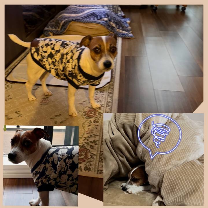 Ecf00f7d 5ca7 4b4f 9ea9 d3bb1191abf7 1768793850455