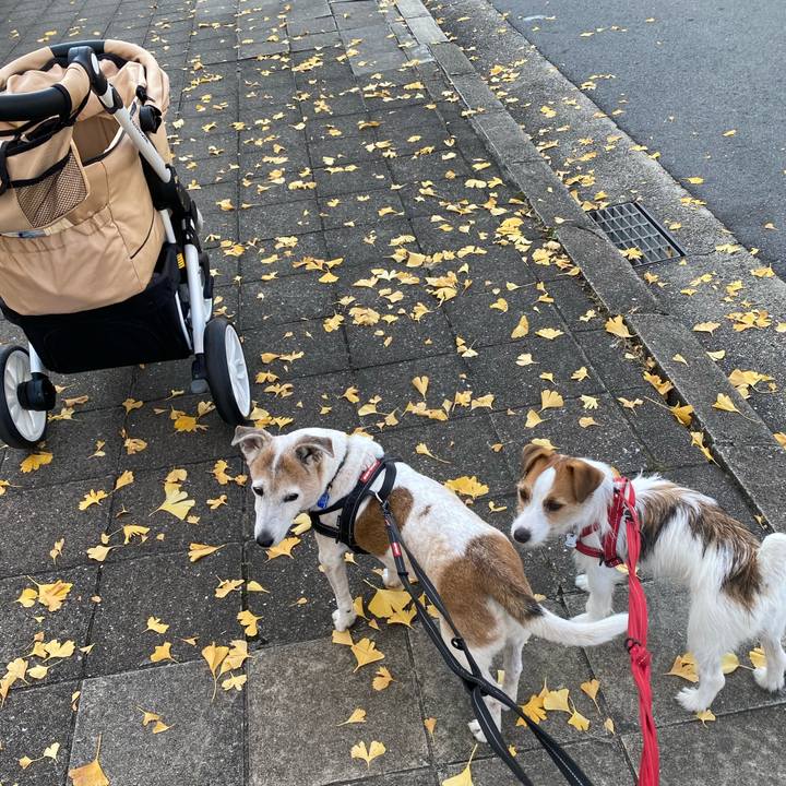 Ecf04249 7b78 4bf8 a5f7 794b5646a505 1637455043610