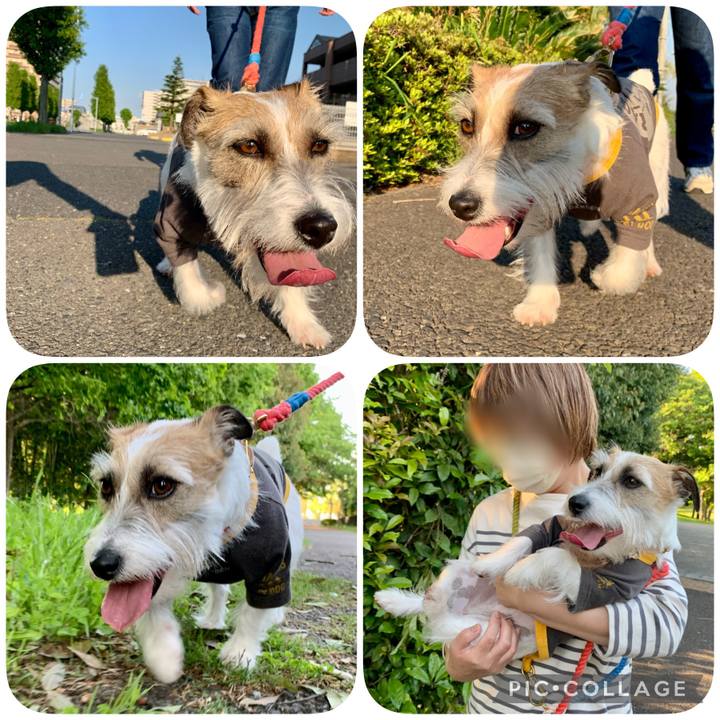 Ecf08ab2 26df 45a3 b050 e6094f53a097 1651576070756