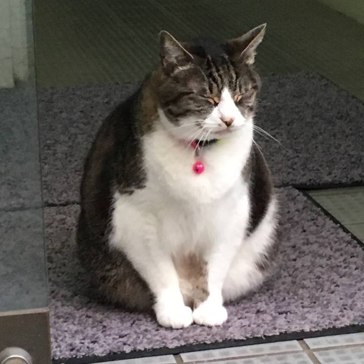 Ecf09c97 ad46 486b 8084 82382de8bd25 1529238990224