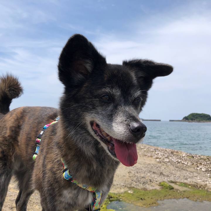 Ecf0b528 6199 4909 8b3b 9c766aa40261 1683154748737