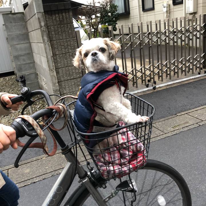 Ecf10ef6 a815 49b1 bfc6 e31d03acd6a0 1577745460262