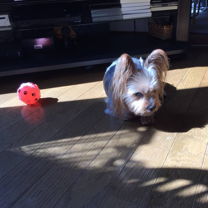 Ecf12a83 183b 4c87 9b6b 8a8b78be6bab 1538185556136