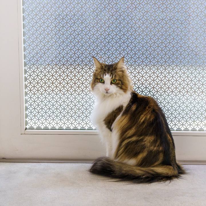 Ecf13d14 cdb7 4754 8a8f c1ada7a3345c 1646968393534