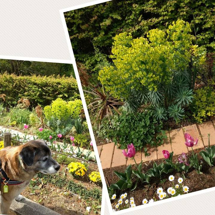 Ecf172a3 e5a1 4013 9672 dc4e6be530c3 1523839013177