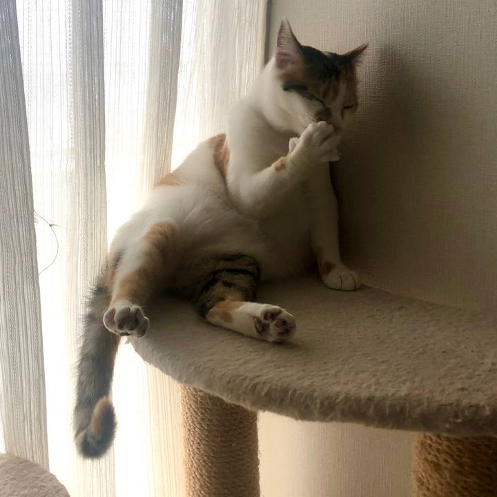 Ecf1796b 5497 4dc5 8289 2e7afc8c65c6 1583643600641