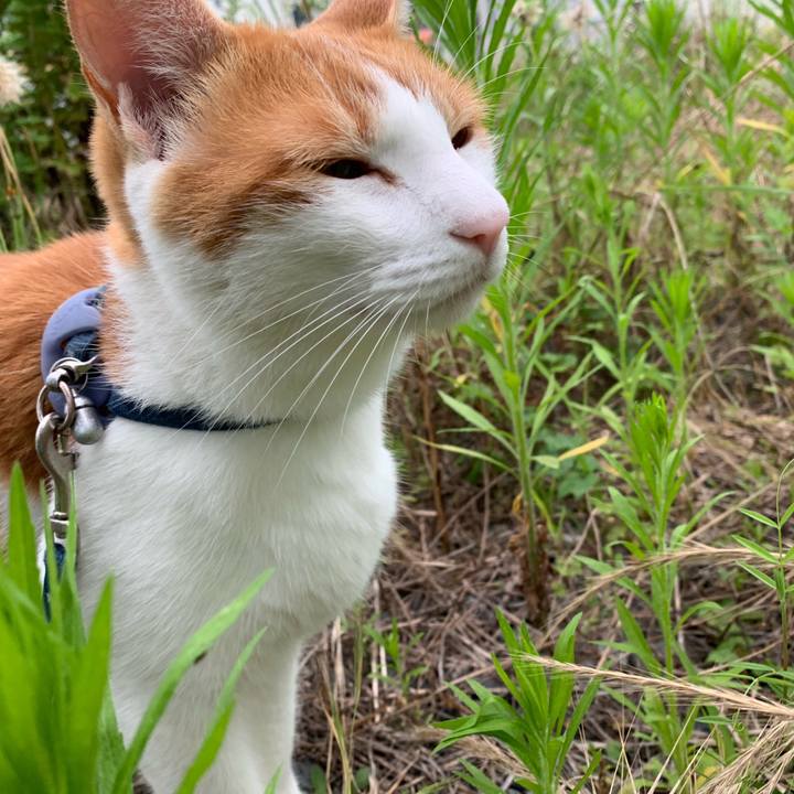 Ecf193eb 92ba 4d00 86b6 ec0c5df47bb2 1563727684046