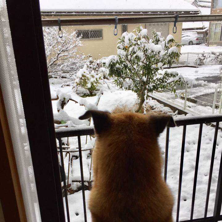 Ecf1aea7 6a8e 4702 be5b 43c32f36a79b 1513208192225