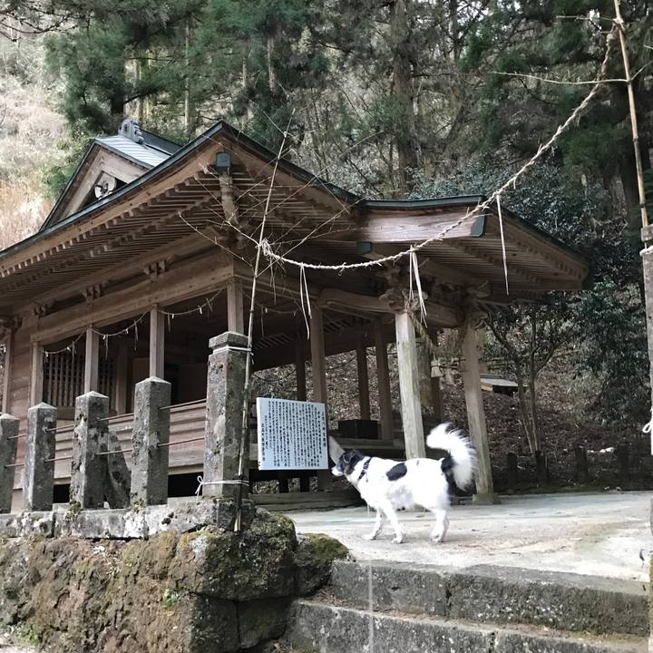 Ecf21773 c3d2 470c 9ed3 6304b825a35a 1514888175659