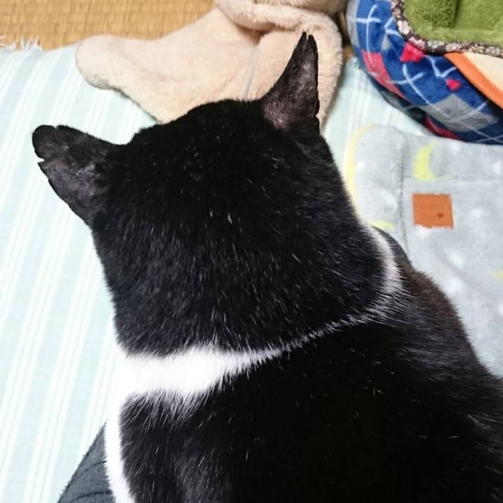 Ecf26d47 ff90 4528 a8c6 307b6ddc5775 1509186194825