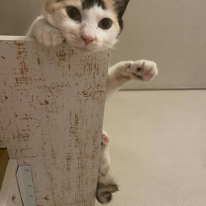 Ecf2b00c e967 4aca 9396 ce41e44b06ac 1676206088117