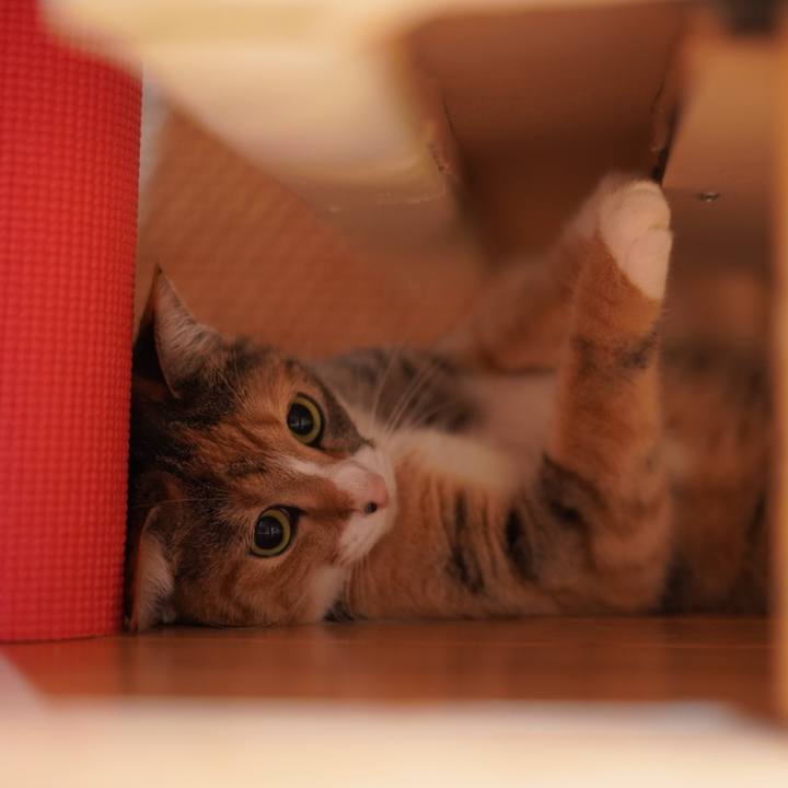 Ecf2c738 02d4 42a2 8a7c 3b1b3bddf0aa 1625579328585