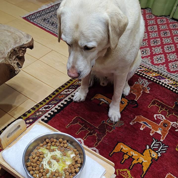 Ecf2db32 c6b3 4e5c ac7d d37b9c782203 1739181810631