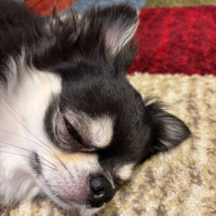 Ecf30ce2 ac58 4acf 944b 266261e6d981 1754153785415