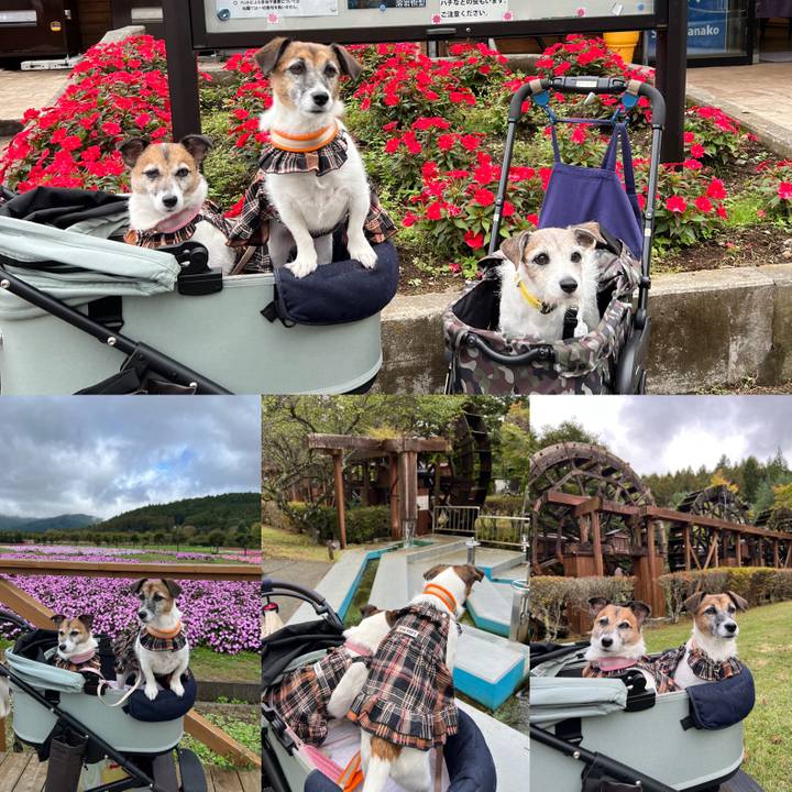 Ecf33969 d64c 4dc6 ab33 c4659ceccb59 1760617265046