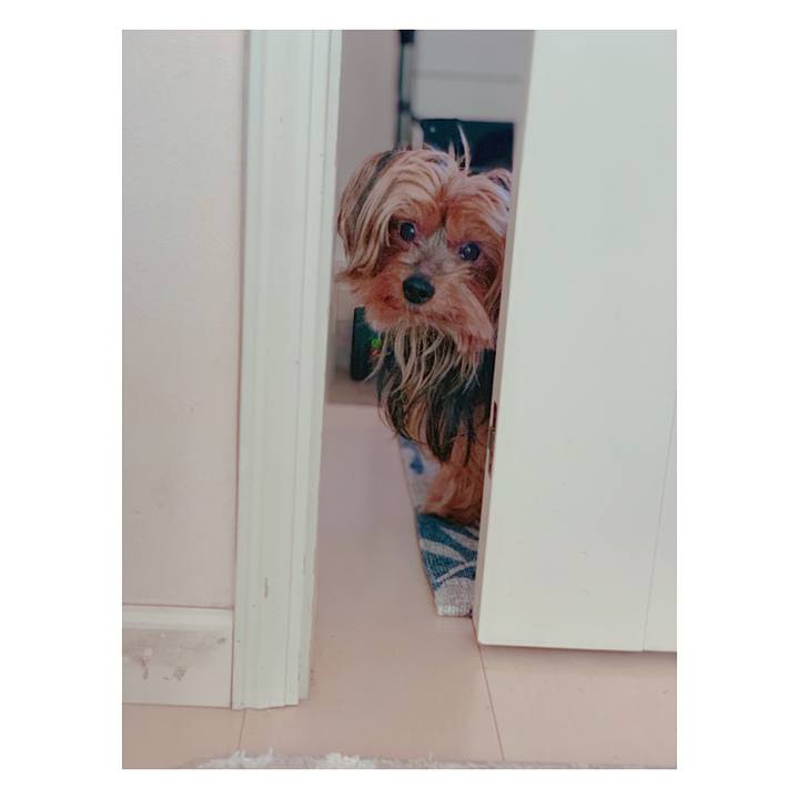 Ecf35cb0 d320 4e5c 95a2 1653f5ba5861 1548045138350