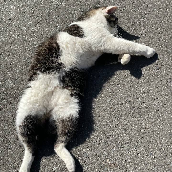 Ecf3d23f 40e9 4d49 b54a 22614757573a 1612335872045