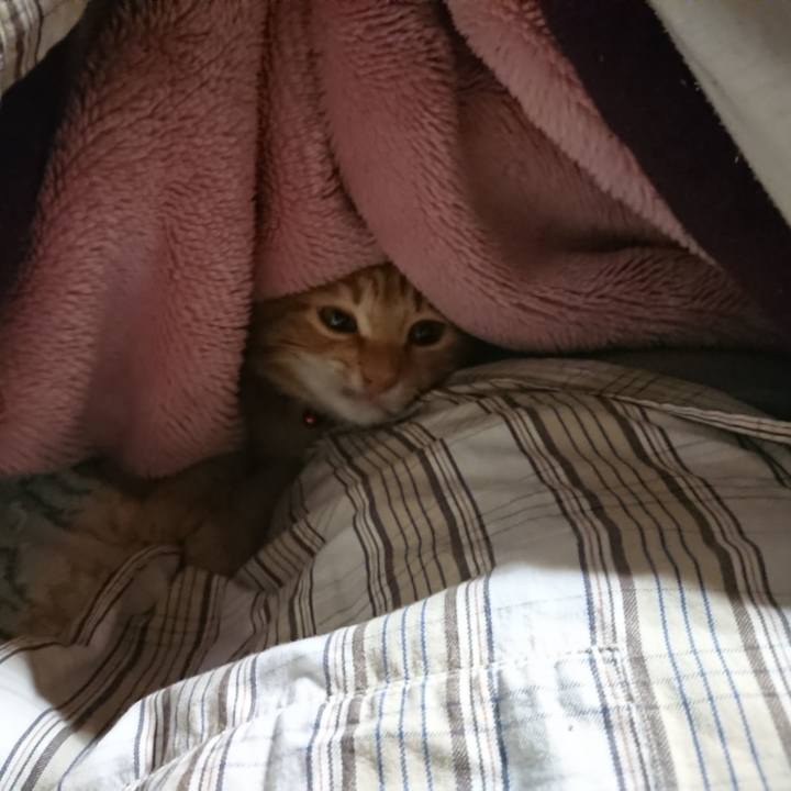 Ecf44134 e69b 4677 a7c3 fd816caea892 1634070782606