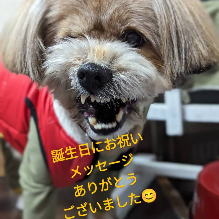 Ecf44cea ac74 4b16 be2d f185317611f2 1703160237980