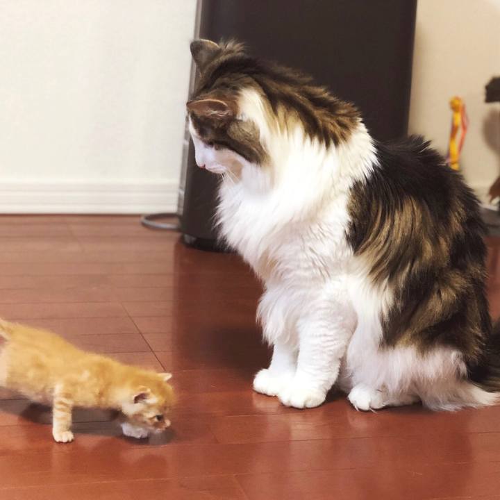 Ecf47406 e390 437a bef3 9f0e108a1851 1559876870985