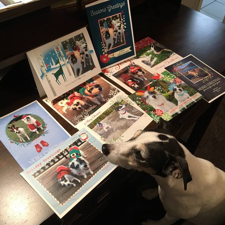 Ecf49a04 ed89 444f b0ca 862ac3f2a418 1544619896433