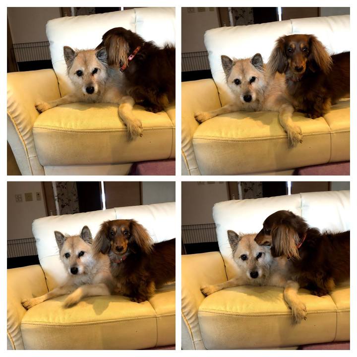 Ecf4b100 6312 48d4 bc0a c388dafbdf00 1577238621260