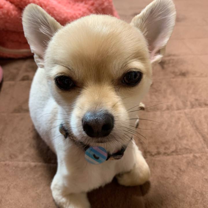 Ecf53901 2b50 4631 b7bb 42111fa1e32c 1561068271639