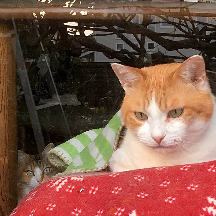 Ecf56ce8 8140 4048 92e0 6bf7cf82ee1f 1618621466260