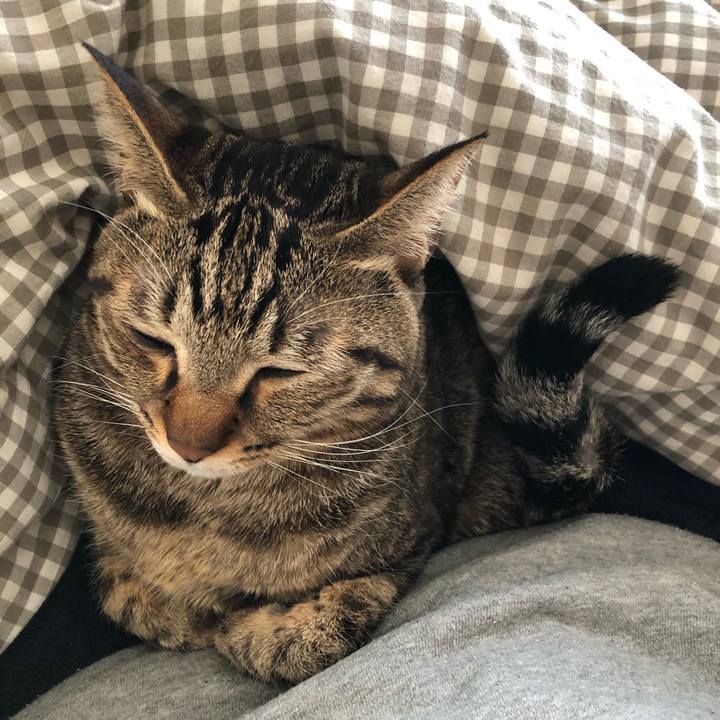 Ecf5823c 6835 473c 877f 9e62fdc67e09 1550327629805