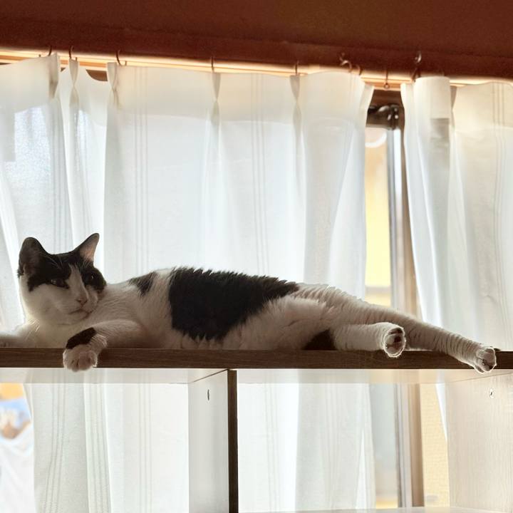 Ecf5a7ba 1d89 4d65 84ef 01e8cf2b8fb9 1751509943816