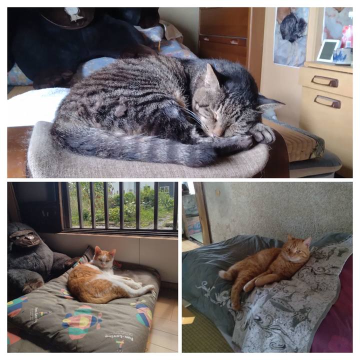 Ecf5aeeb 20c4 49a8 ad44 35e95aa44e99 1757927613019