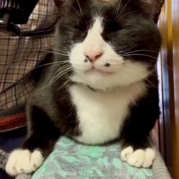 Ecf5ef67 7a43 4c30 98e4 72a396056aec 1749265282162