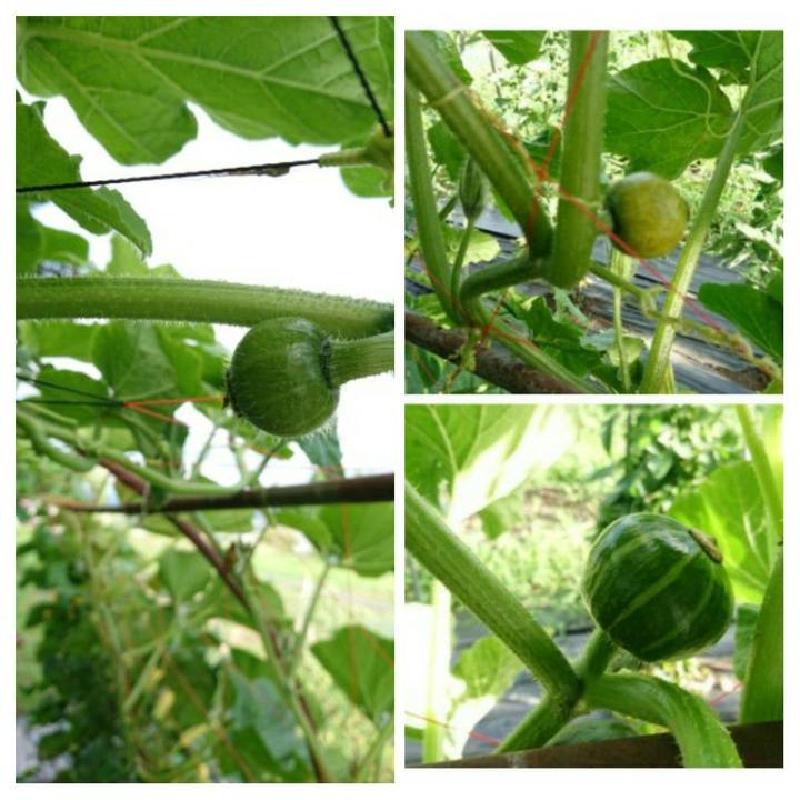 Ecf5f524 4c20 4290 9641 9dc54d772d5f 1594542628515